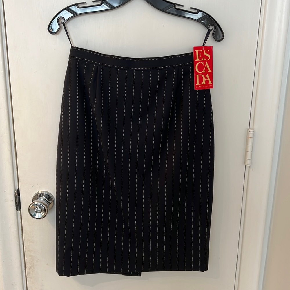 Pinstripe Pencil Skirt (black skirt with white stripes)